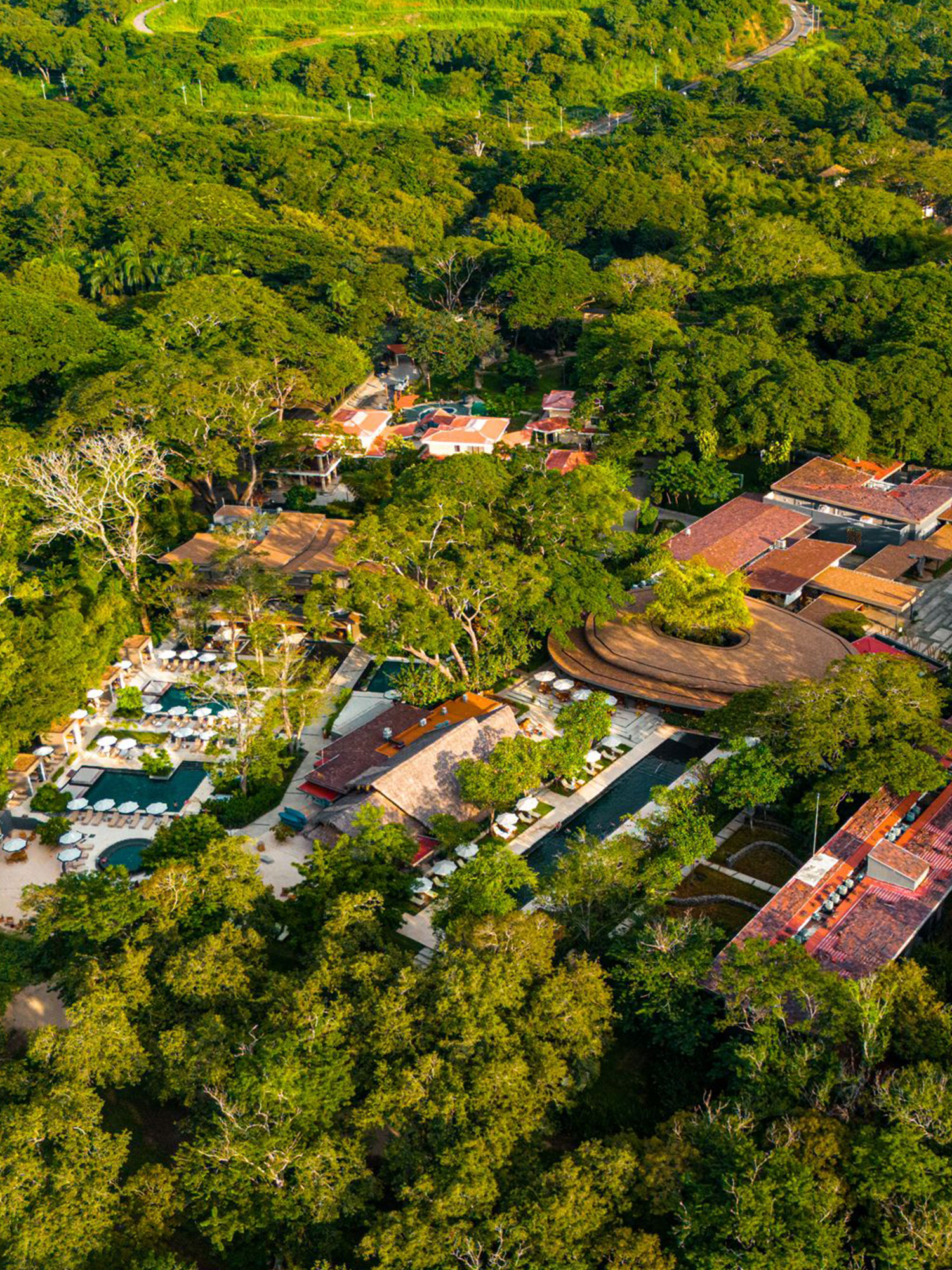 Pools at El Mangroove: Serenity for Adults, Fun for Families